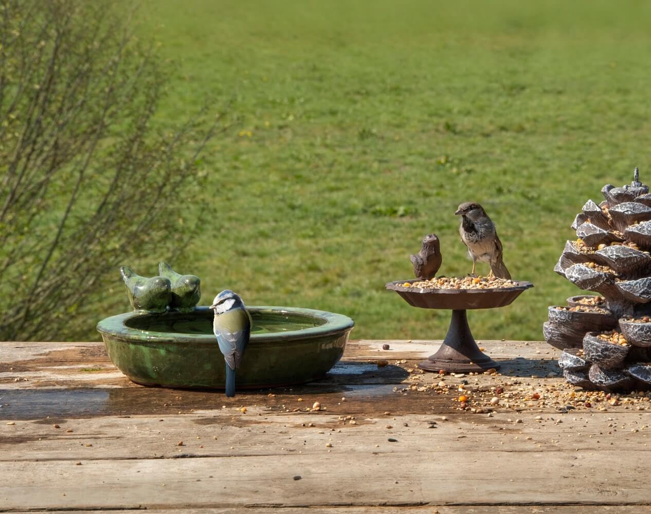 Unbekannt Esschert Abreuvoir rond pour oiseaux Vert
