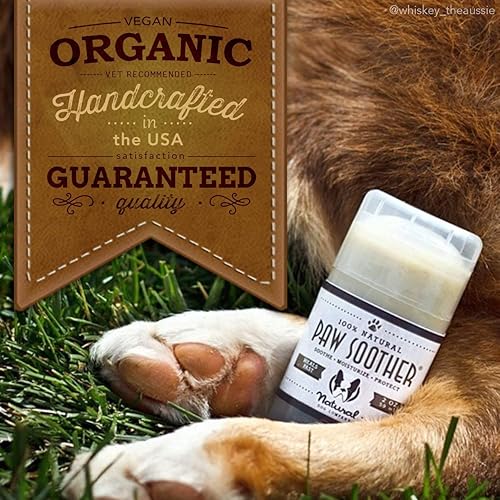 Miniatura 2 de Natural Dog Company PAWDICURE - Paquete de almohadillas para patas  PawTection para patas de perro protege y cura almohadillas para patas de perro