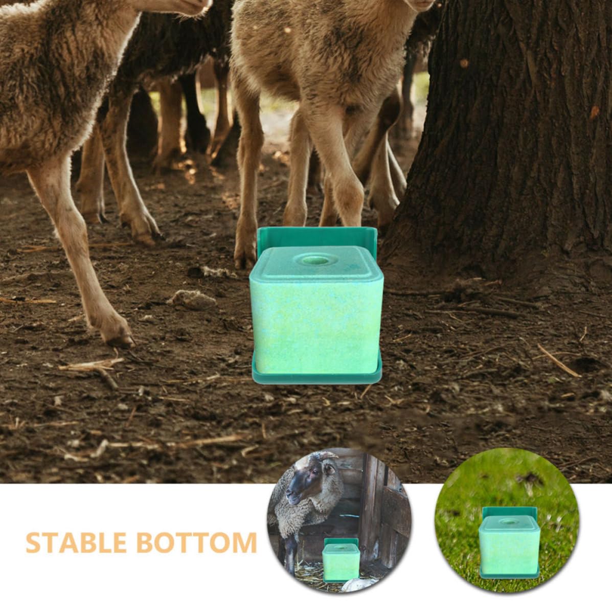 SHINEOFI 2 Stück Salz Futterschale aus Pp für Schafe und Rinder Sicher und Langlebig Praktischer Salzlecksteinhalter zur Fütterung im Stall der Weide