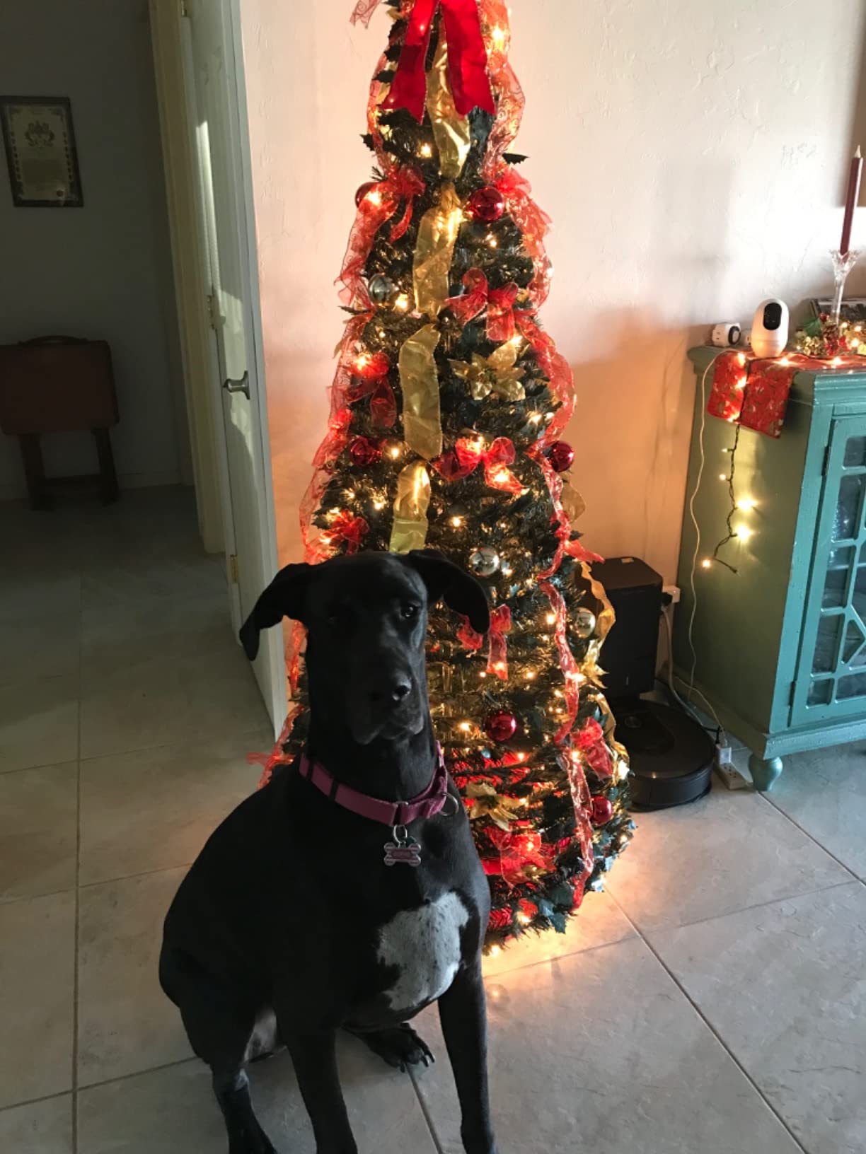 Review da cliente Patrícia