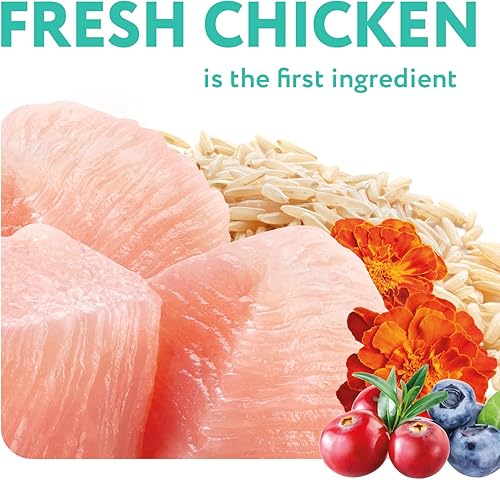 Miniatura 5 de OPtimeal Vital Nurture - Alimento para gatitos, orgullosamente ucraniano, receta seca de comida para gatitos para una digestión saludable, comida