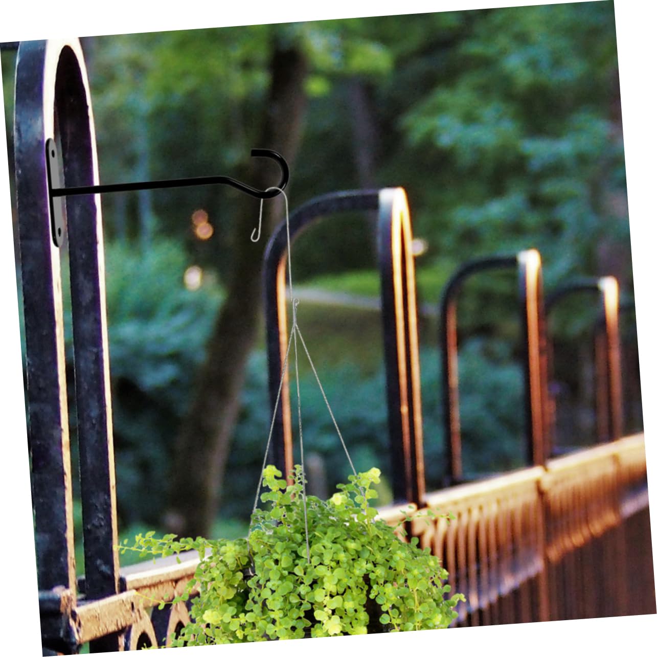 Toyvian 10 Ensembles Crochets de Plafond pour Plantes Ensemble de Crochets Multifonctions pour Suspensions Accessoires de Jardinage Élégants pour Plantes Suspendues Décorations Intérieures