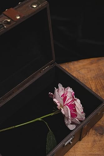 Miniatura 8 de Cofre de madera y cuero de 8.3 pulgadas con forro de terciopelo, caja de madera de pentáculo con grabado de pentagrama, suministros Wiccan de