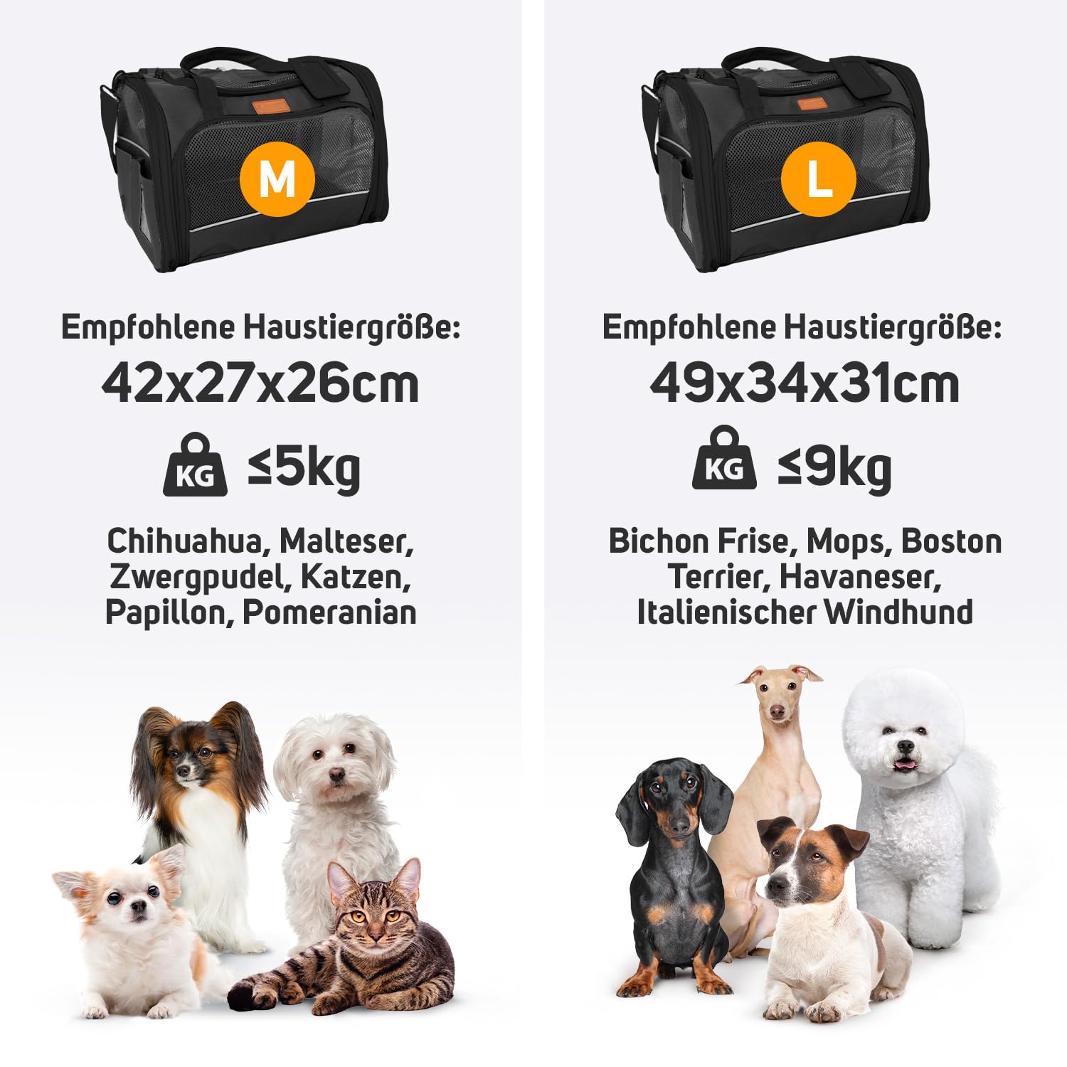 PETPROVED Transportbox Katze Hund Hundetasche für Kleine Hunde Katzentransportbox Katzen Transportboxen Hundetragetasche Tragetasche Hund Katzentasche Katzenbox Katzenkorb Transport (L Schwarz)