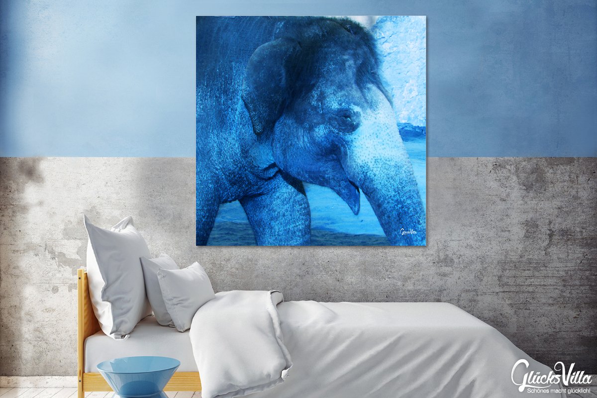 Glücksvilla - Der Elefant 1 - (Acrylglas-Bild 5 mm, 140 x 140 cm) | div. Maße - aus DE - Kunstdruck XXL Deko Wandbild Quadrat - Wildnis Afrika Natur Tier Fotografie