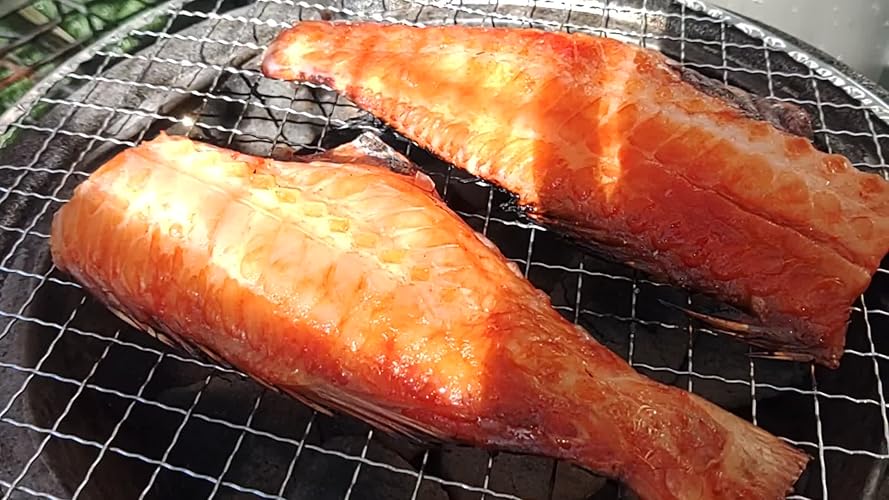 Amazon｜【TFS】 使い捨て焼き網 丸網 28cm (30枚) ストレスフリー