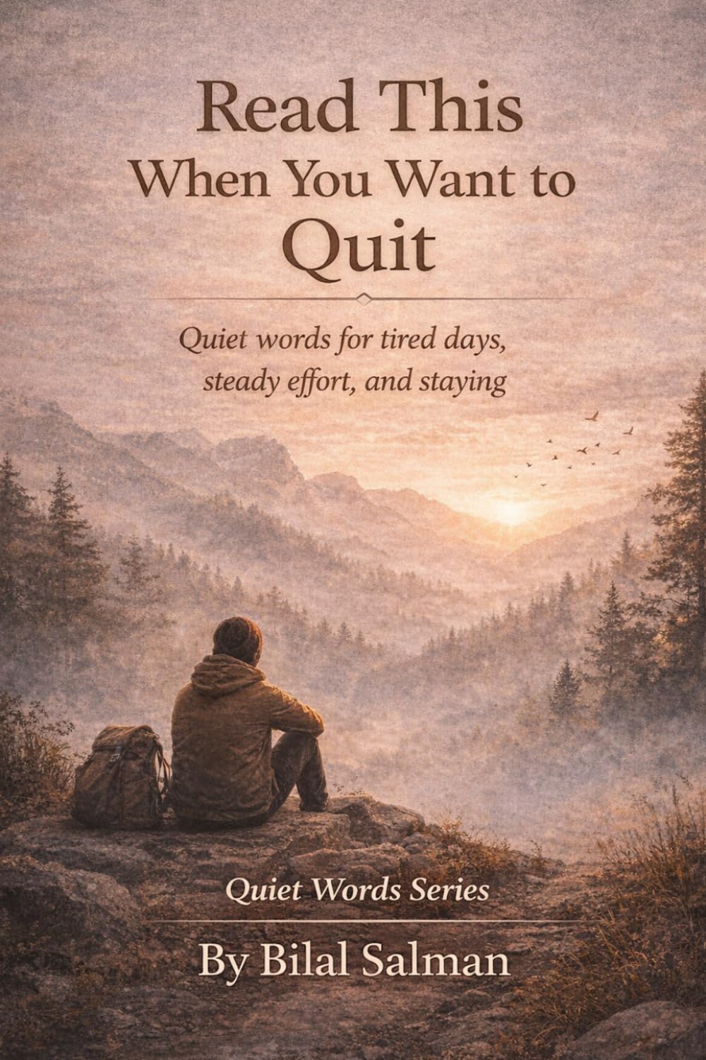 Read This When You Want to Quit: Quiet words for tired days, steady effort, and staying (Quiet Words Series)