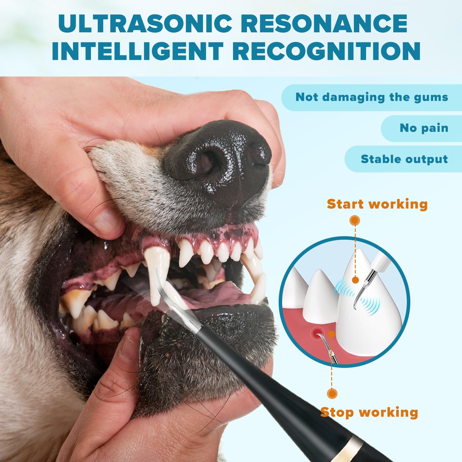 Dog Plaque And Tartar Remover Canident Sonic Pet Toothbrush