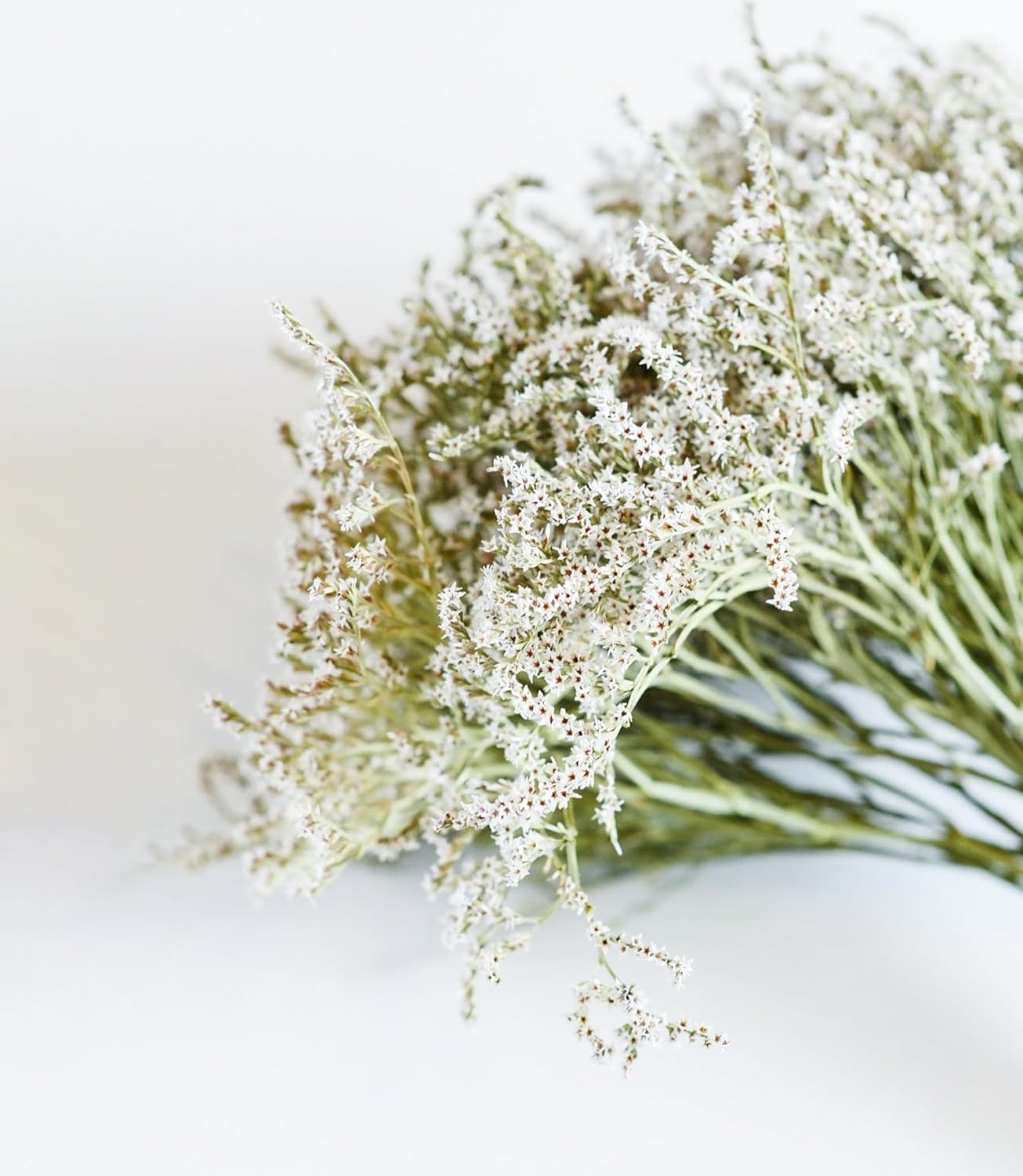 Dried German Statice Bunch - White & Green Flowers, Wedding Bouquet, Rustic Home Decor, Dried Wreath Supplies (2 or 4 oz) (4 Oz)