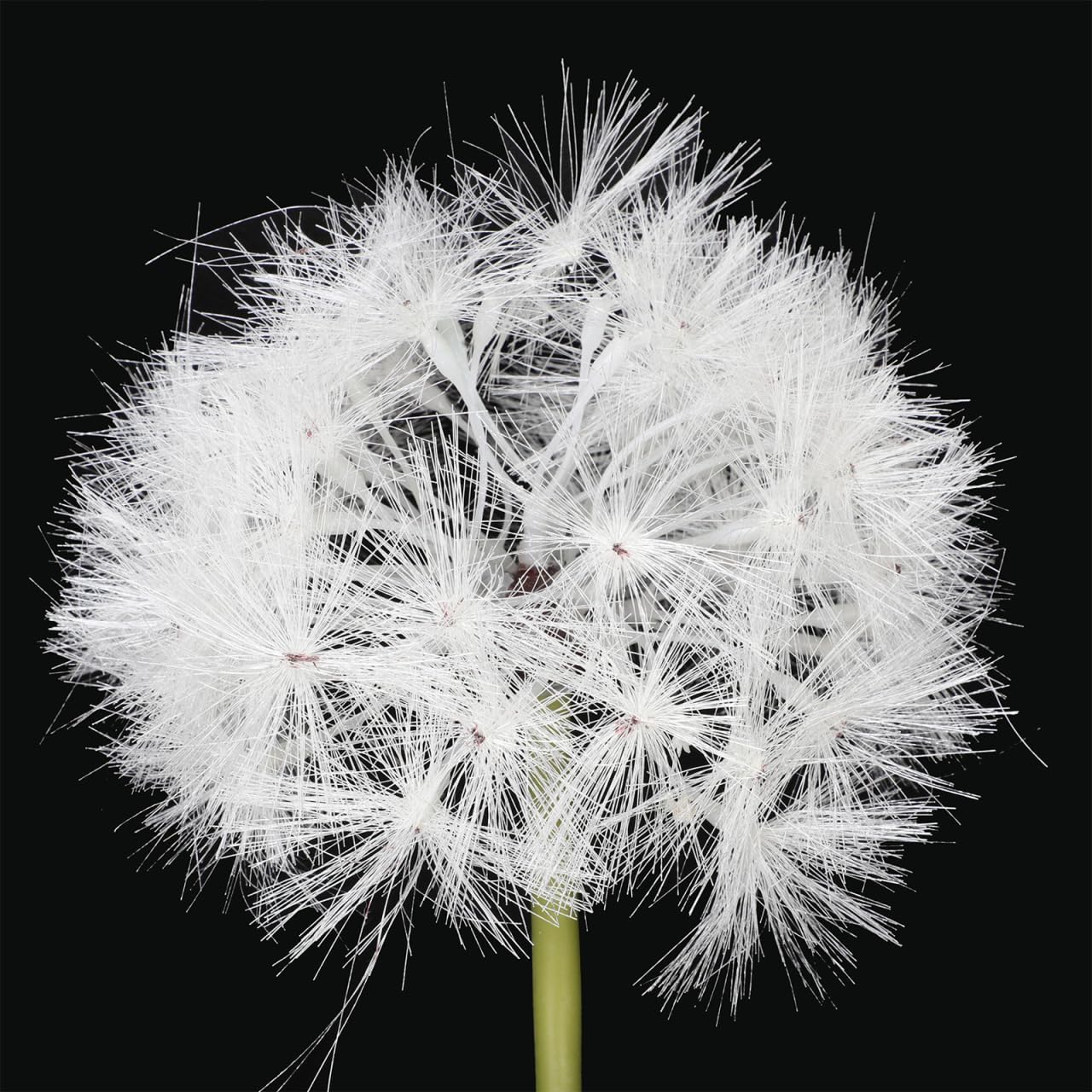 Simulated Dandelion Artificial Flowers 27.55In Faux Dried Flower Vase Filler for Indoor Outdoor Wedding Party Home Decoration - Image 2