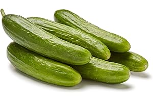 Organic Mini Cucumbers: The Refreshing and Versatile Superfood