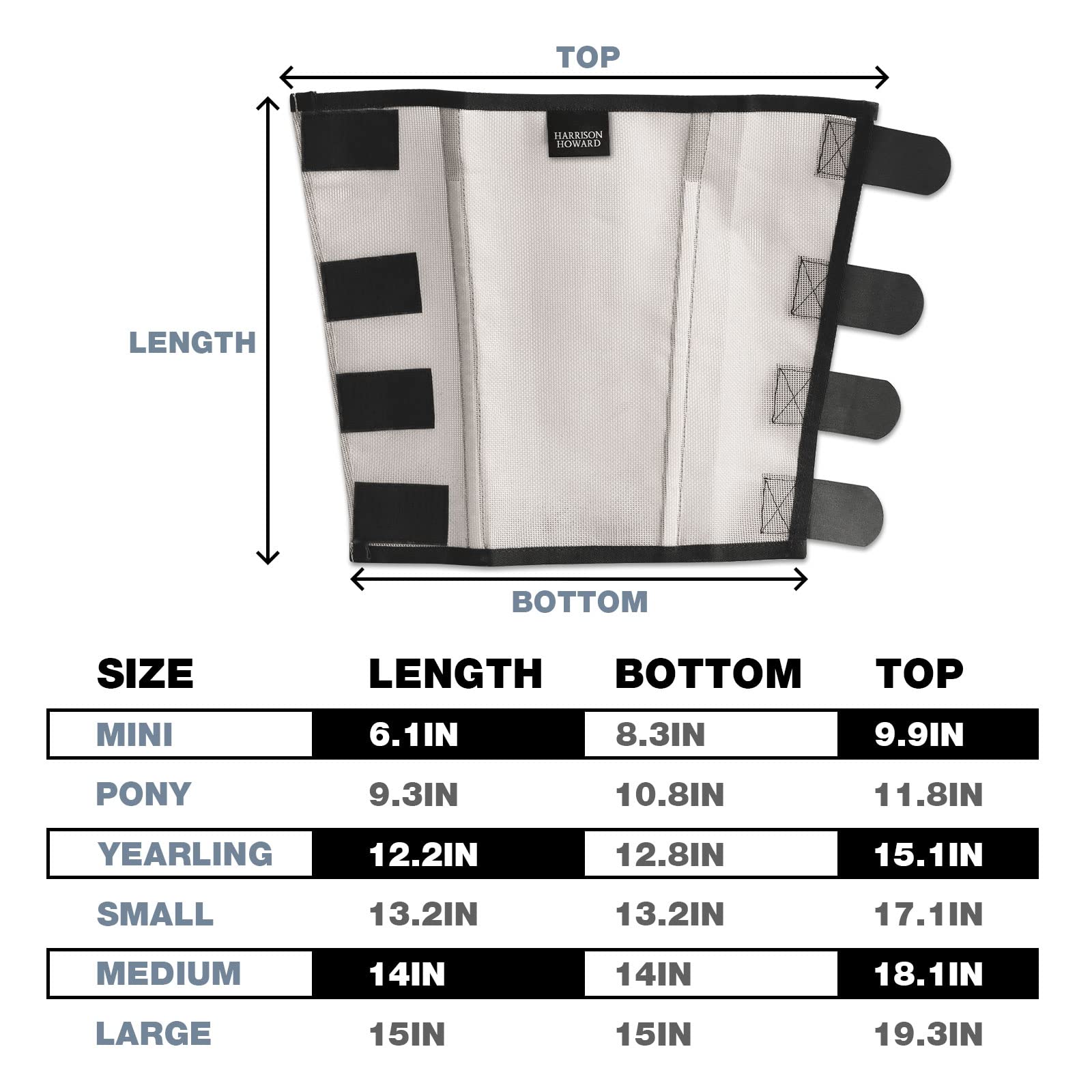 View 6