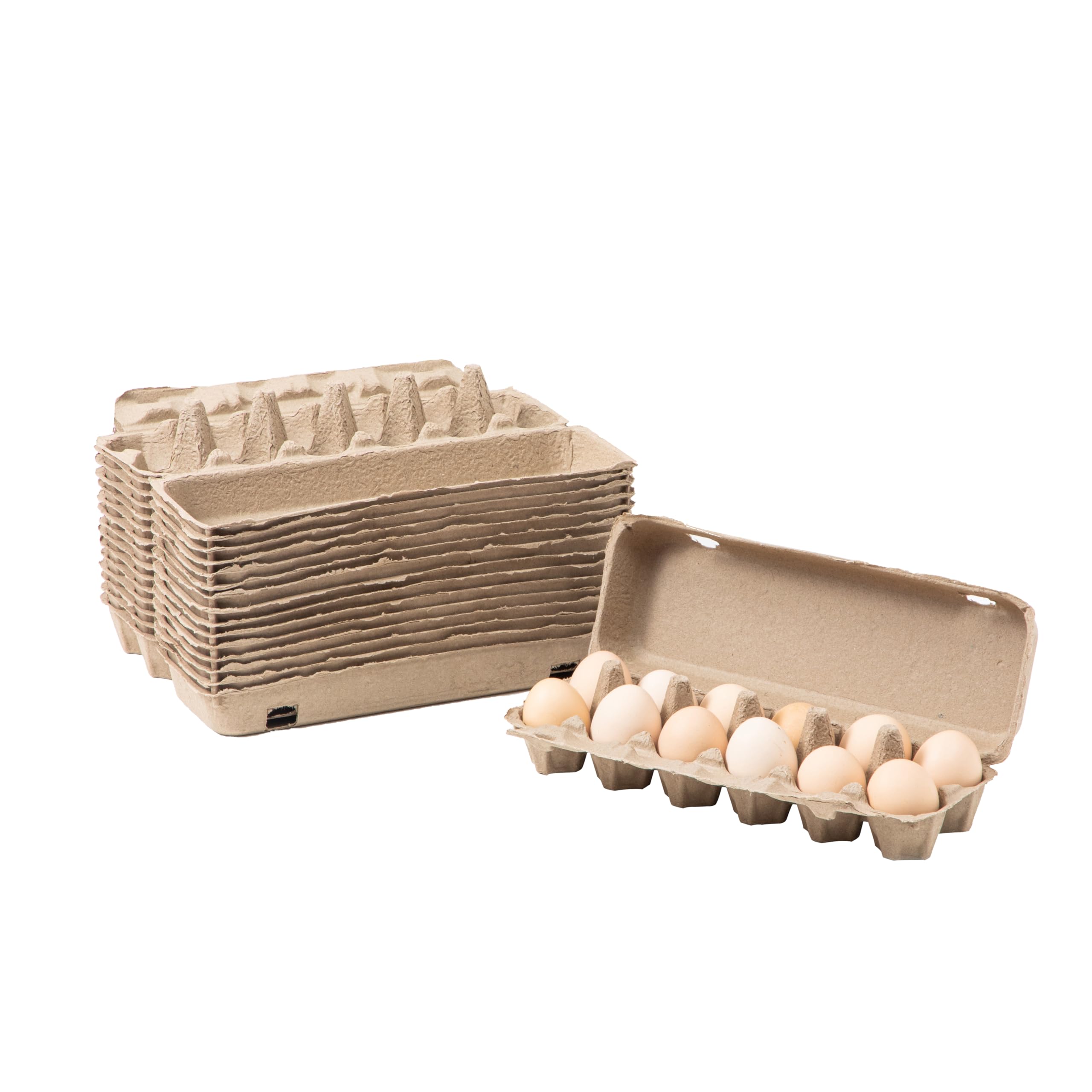 Buy egg cartons Online in New Zealand at Low Prices at desertcart