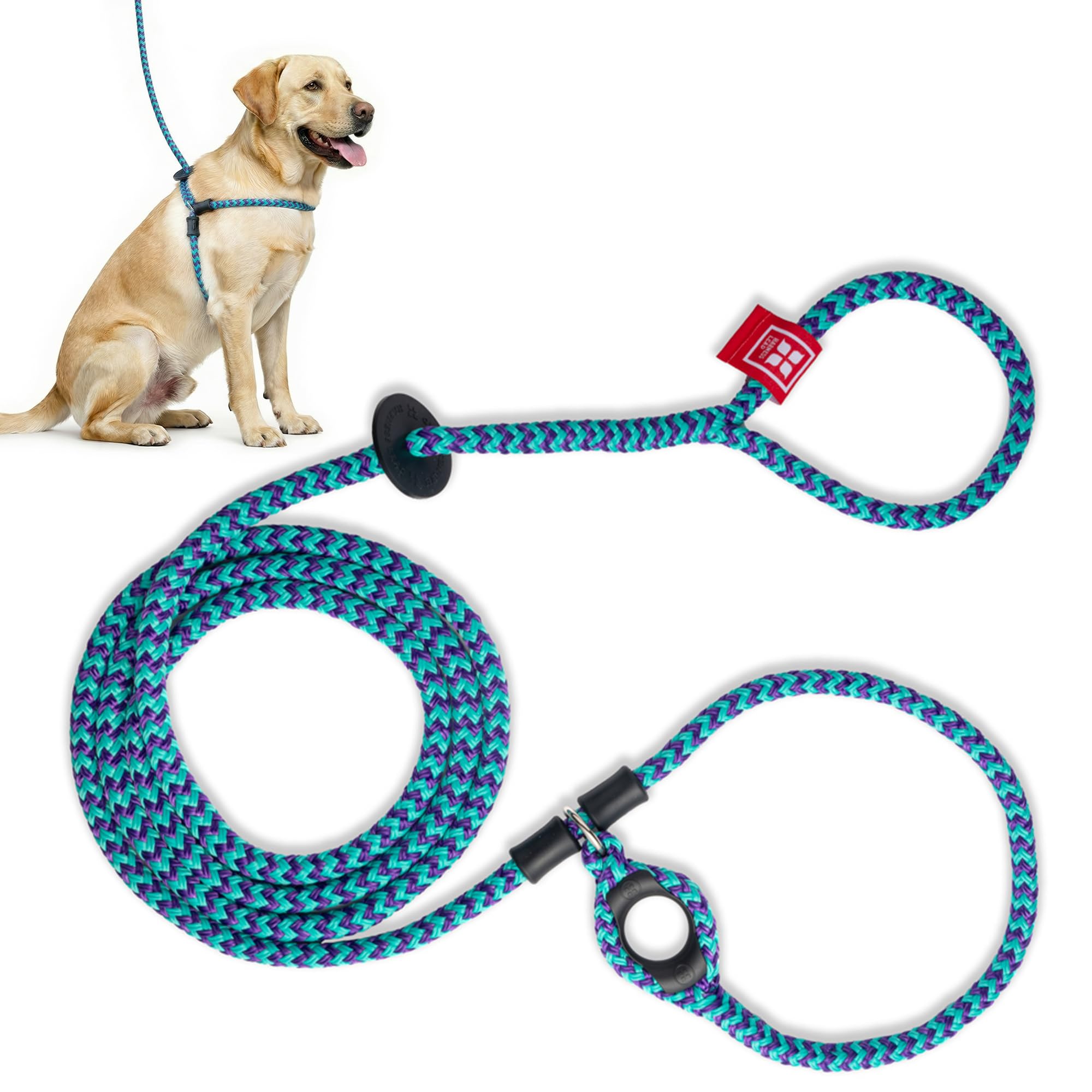 Harness Lead Set di pettorina e guinzaglio per cani anti-tiro, imbracatura per cani anti-tiro, corda imbottita in un unico pezzo impedisce la fuga e la trazione * Il nuovo inserto è rimovibile