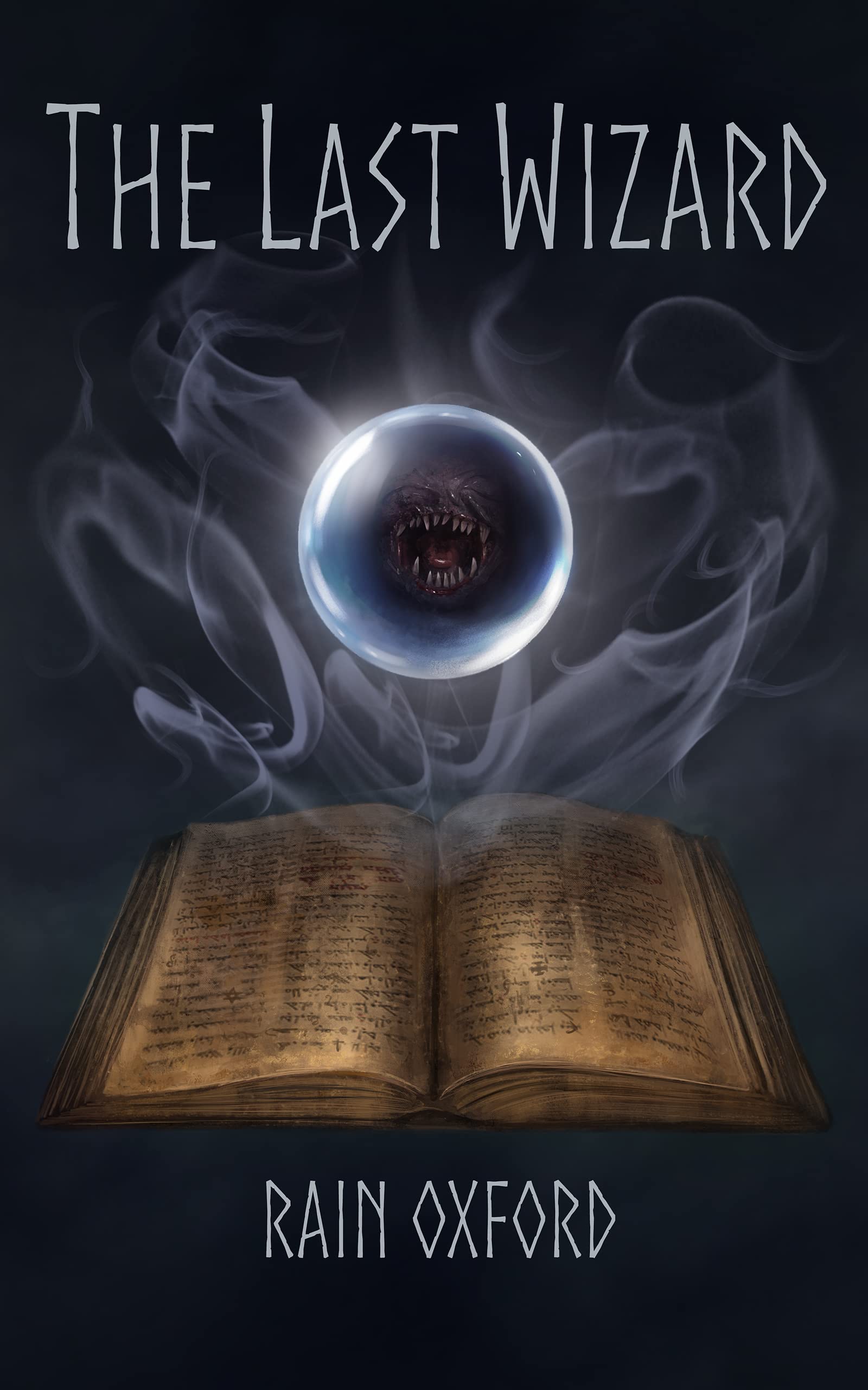 Cover of The Last Wizard