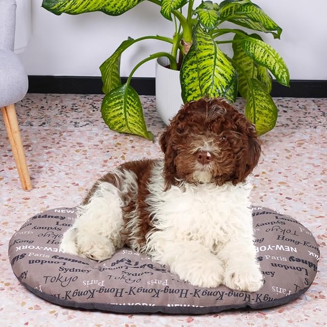 Foto 3 de 6 de Ferplast - Cama para Perros y Gatos - Cojín para Perros medianos - Colchón para Perros