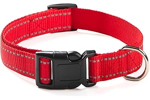 Reflective Dog Collar for Medium Dogs: Safety and Style Combined