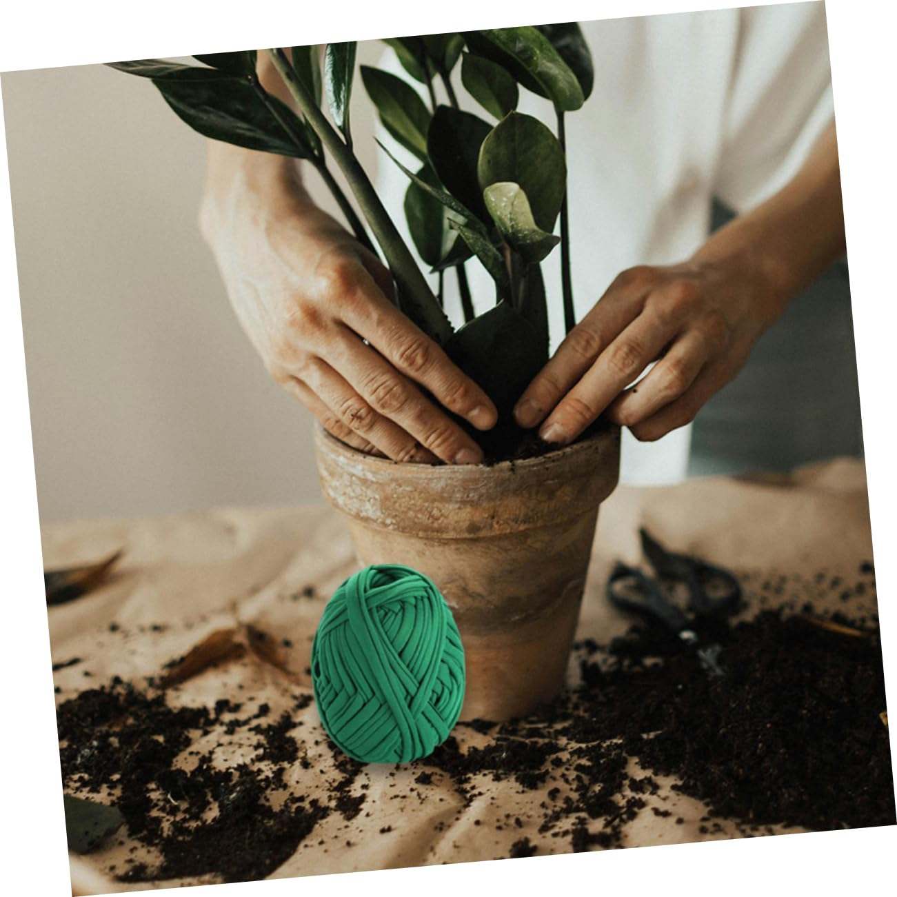 SUPVOX 8rouleaux Sangles De Soutien pour Arbres Strap De Fixation Robuste pour Vos Plantes Sécurité Ajustable Et Durable