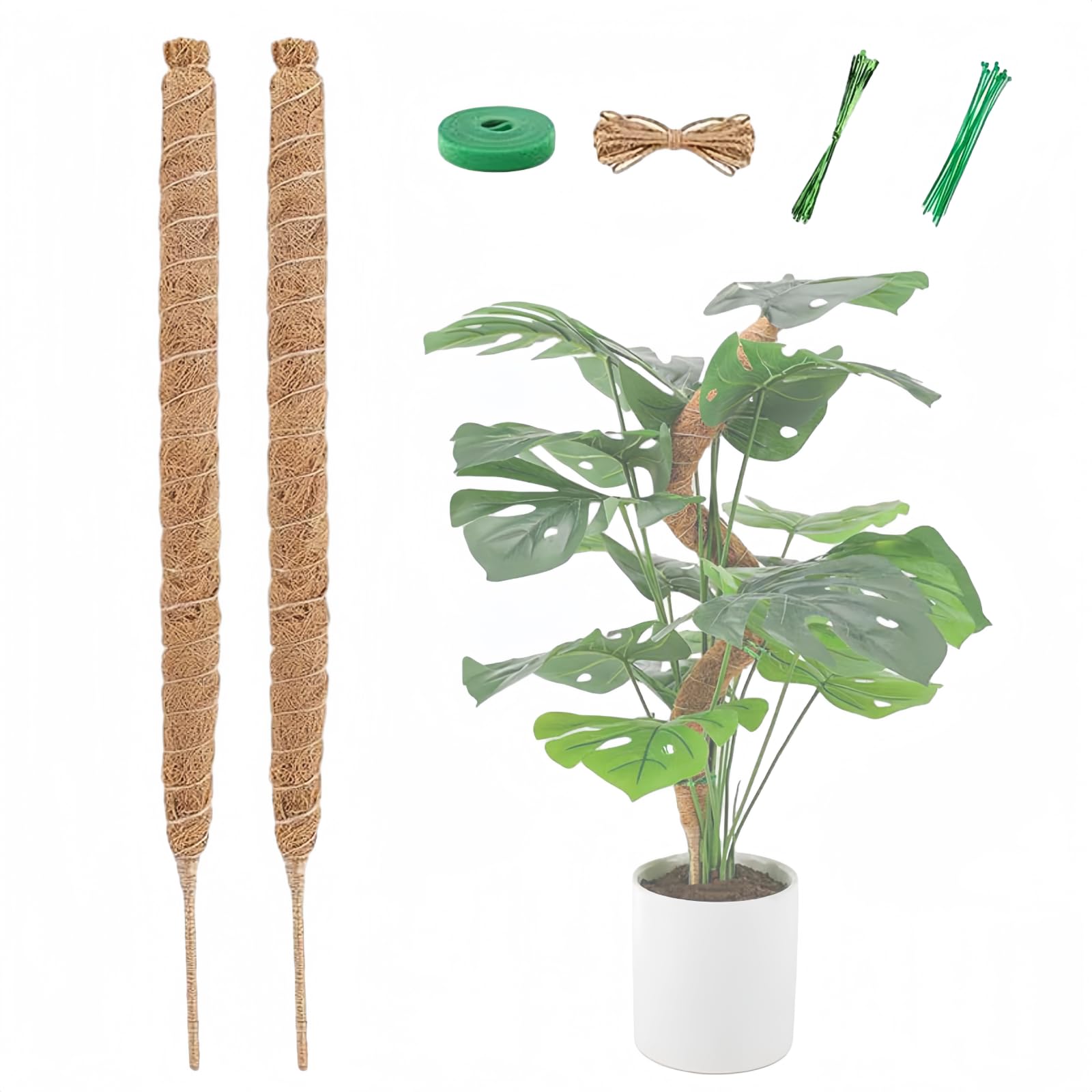 Amazon.co.jp: 2個 ココスティック 園芸支柱 自由に曲げる 観葉植物