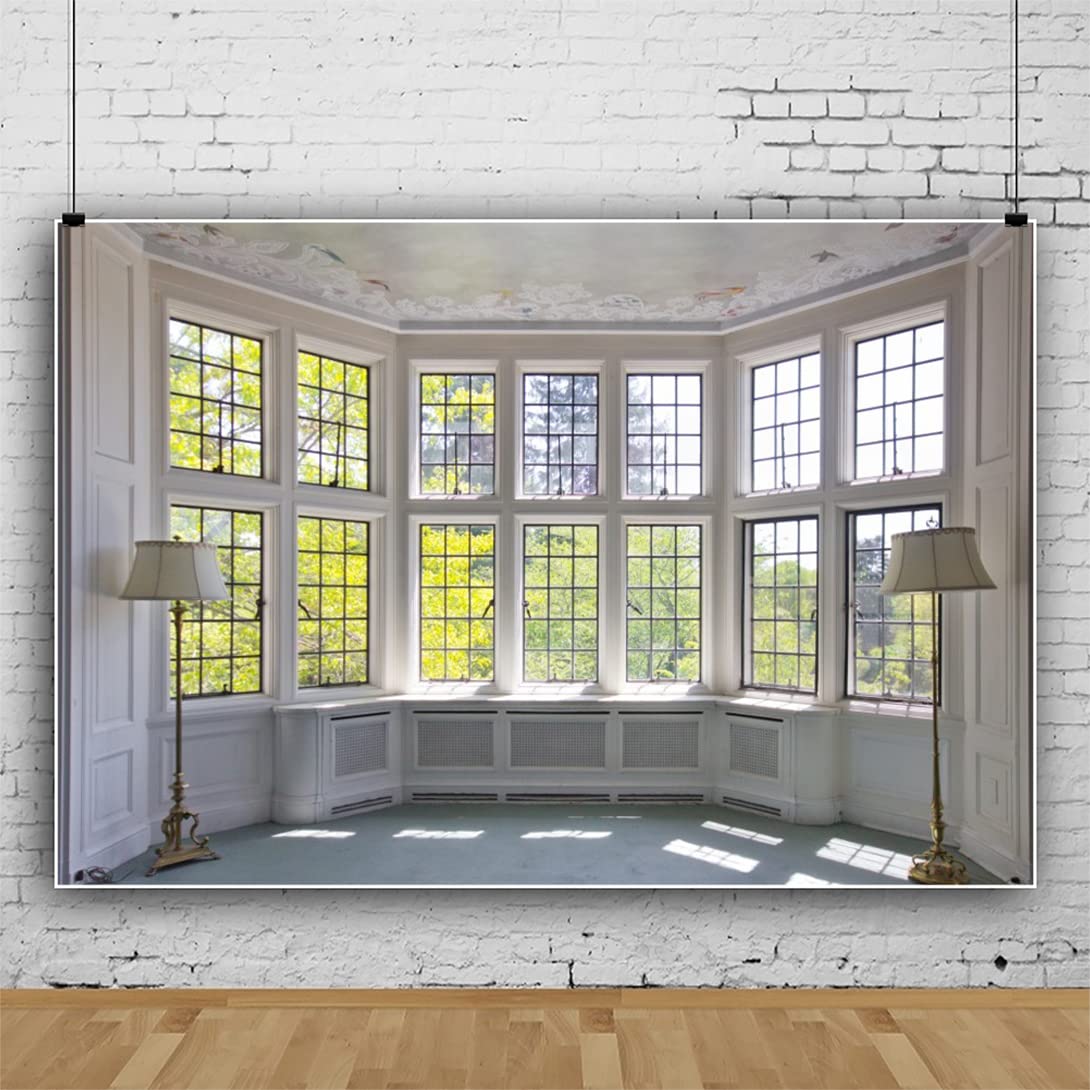 YongFoto 3x2,5m Vinile Sfondo Fotografico Interni Europeo Costruzione French Sash Sunshine Nature Autunno Fondale Foto Festa Bambini Boby Nozze Adulto Partito Studio Fotografico Puntelli
