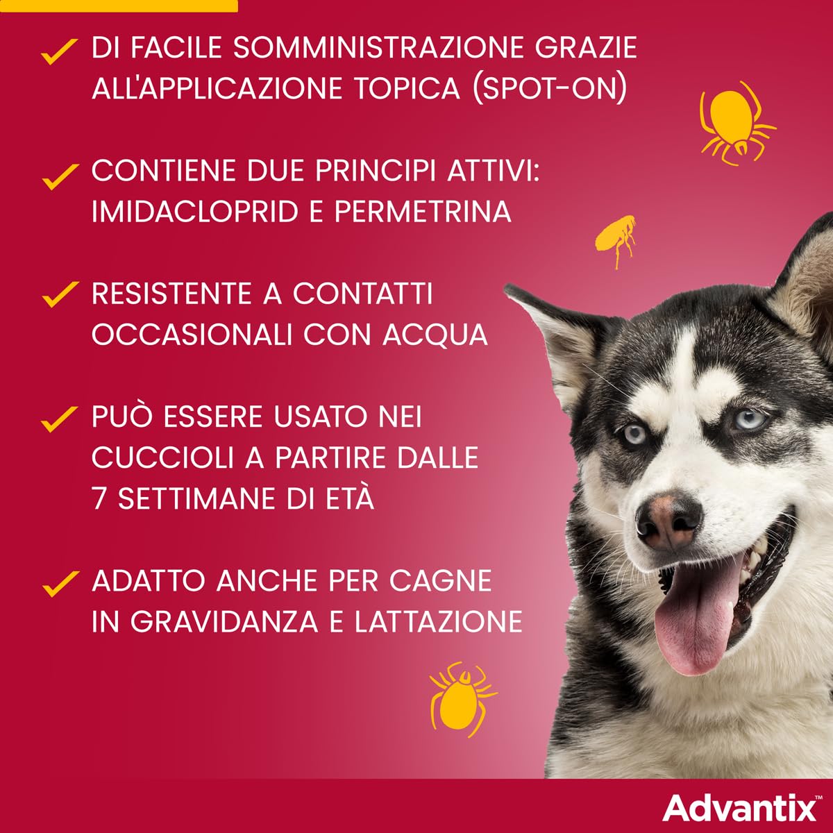 Advantix Petit Chien - 4 à 10 kg - 6 pipettes
