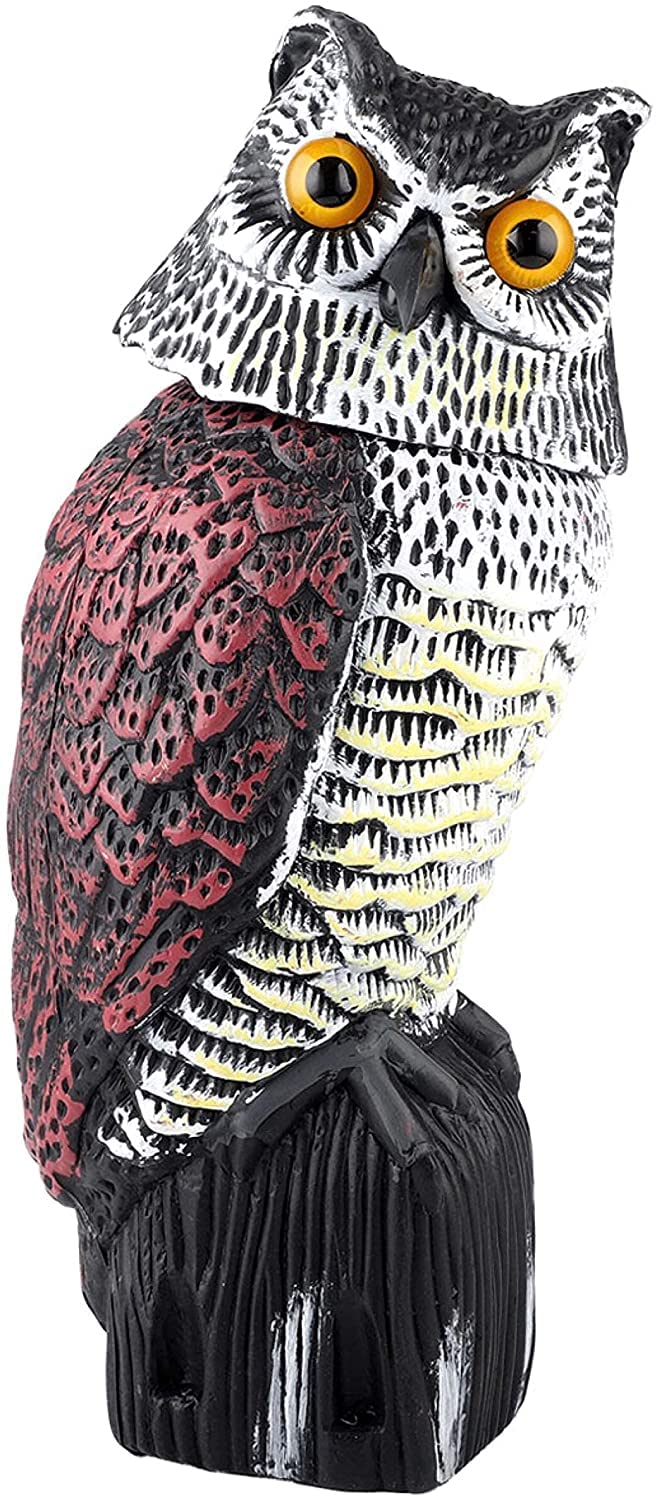 THE WHITE SHOP Realistic Owl Decoy with Rotating Head for Garden Protection Owl Statues (A)
