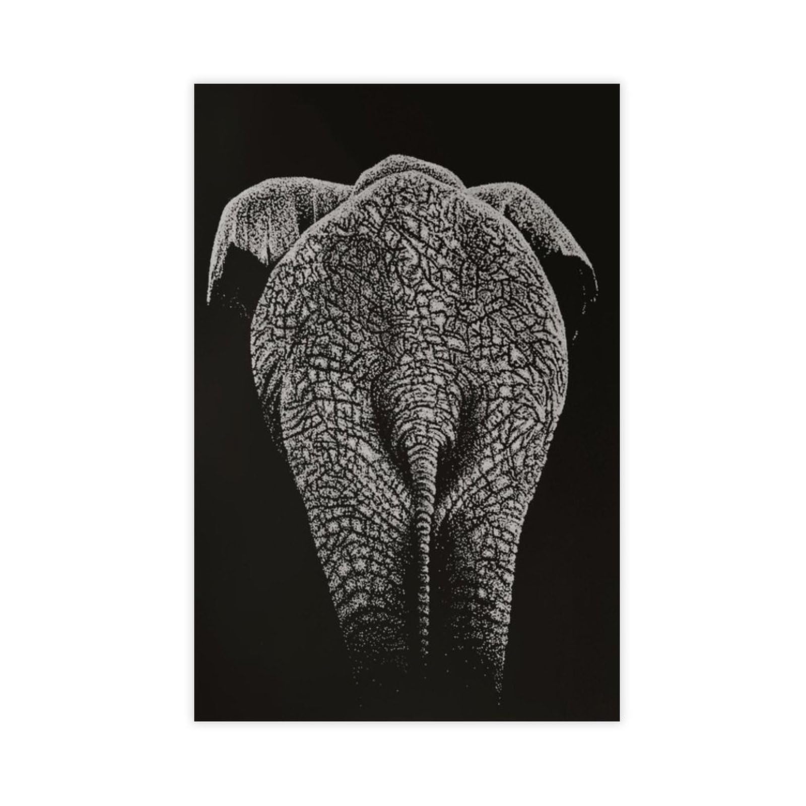 Bareronor Abstract Elephant Poster Canvas Poster Bedroom Decor Landscape Office Room Decor Gift 20" L X 30" W