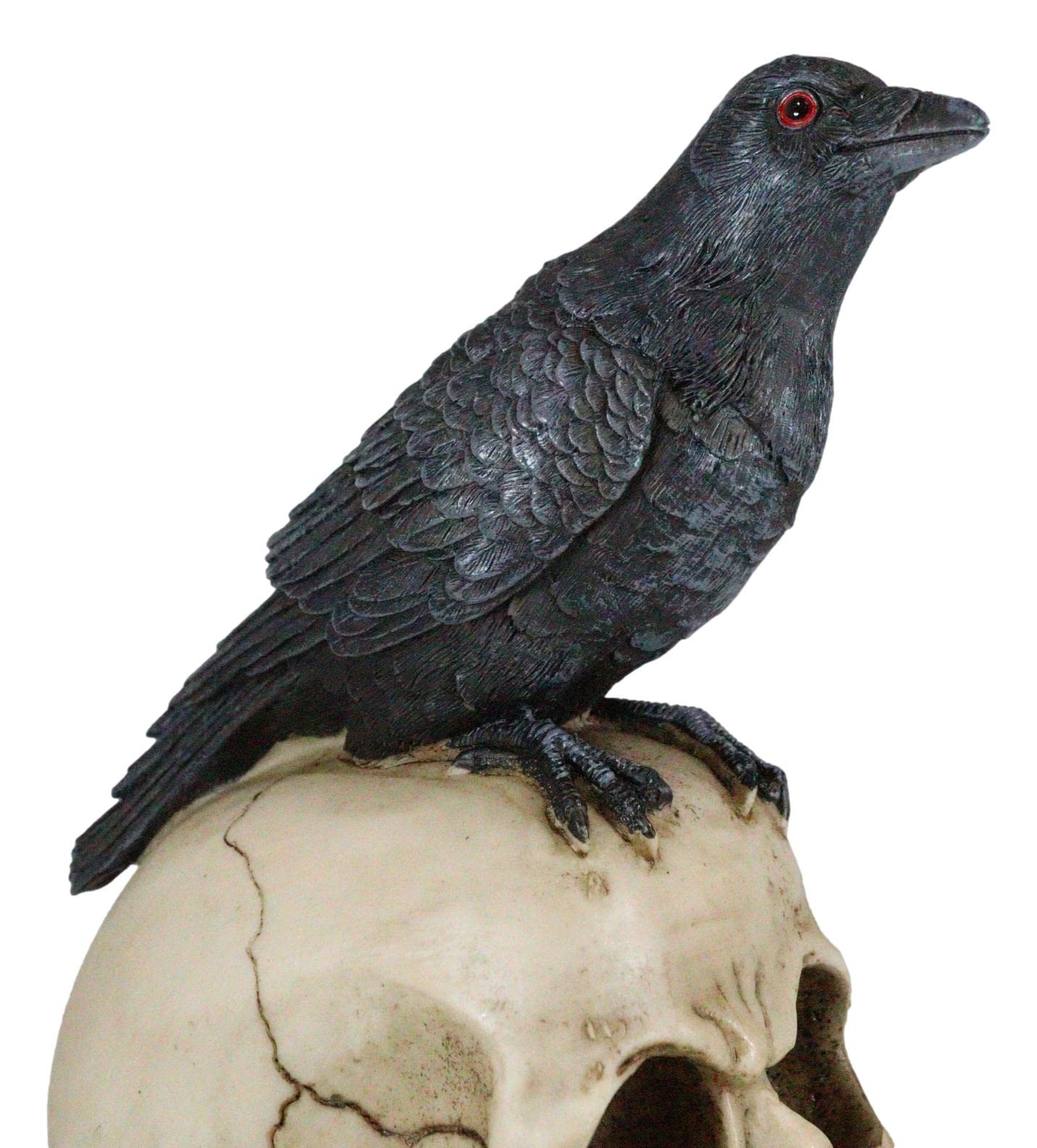 Amazon.com: Ebros Quoth The Raven Nevermore Black Crow with