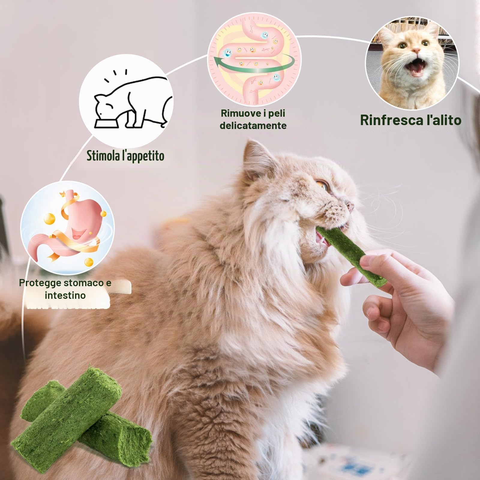 30g Bastoncini di Erba Gatta Liofilizzato, Snack per Gatti Erba Gatta per Gatti Pronta per Elimina Boli di Pelo e Pulizia dei Denti