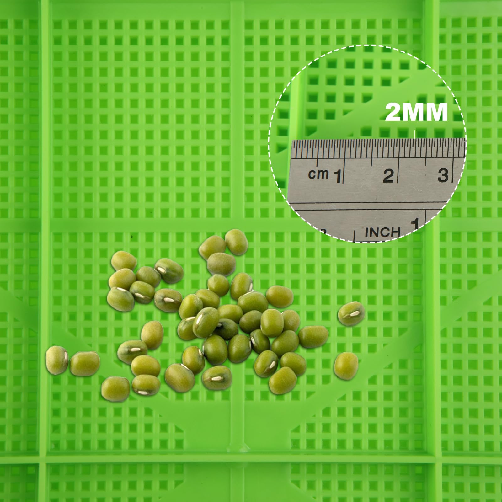 Set van 2 stuks sprout-kweekset met roestvrij stalen zeef Set van 2 stuks sprout-kweekset met roestvrij stalen zeef