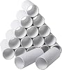 120 Pack Cardboard Tubes for Crafts - Craft Rolls - Round Tubes - Toilet Paper Rolls Crafts- Cardboard Tubes for Crafts - Craft Tubes - Paper Tube for Crafts - 1.57 x 3.9 Inches - White