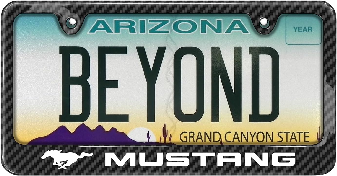 iPick Image for Ford Mustang Black Carbon Fiber Look ABS Plastic License Plate Frame