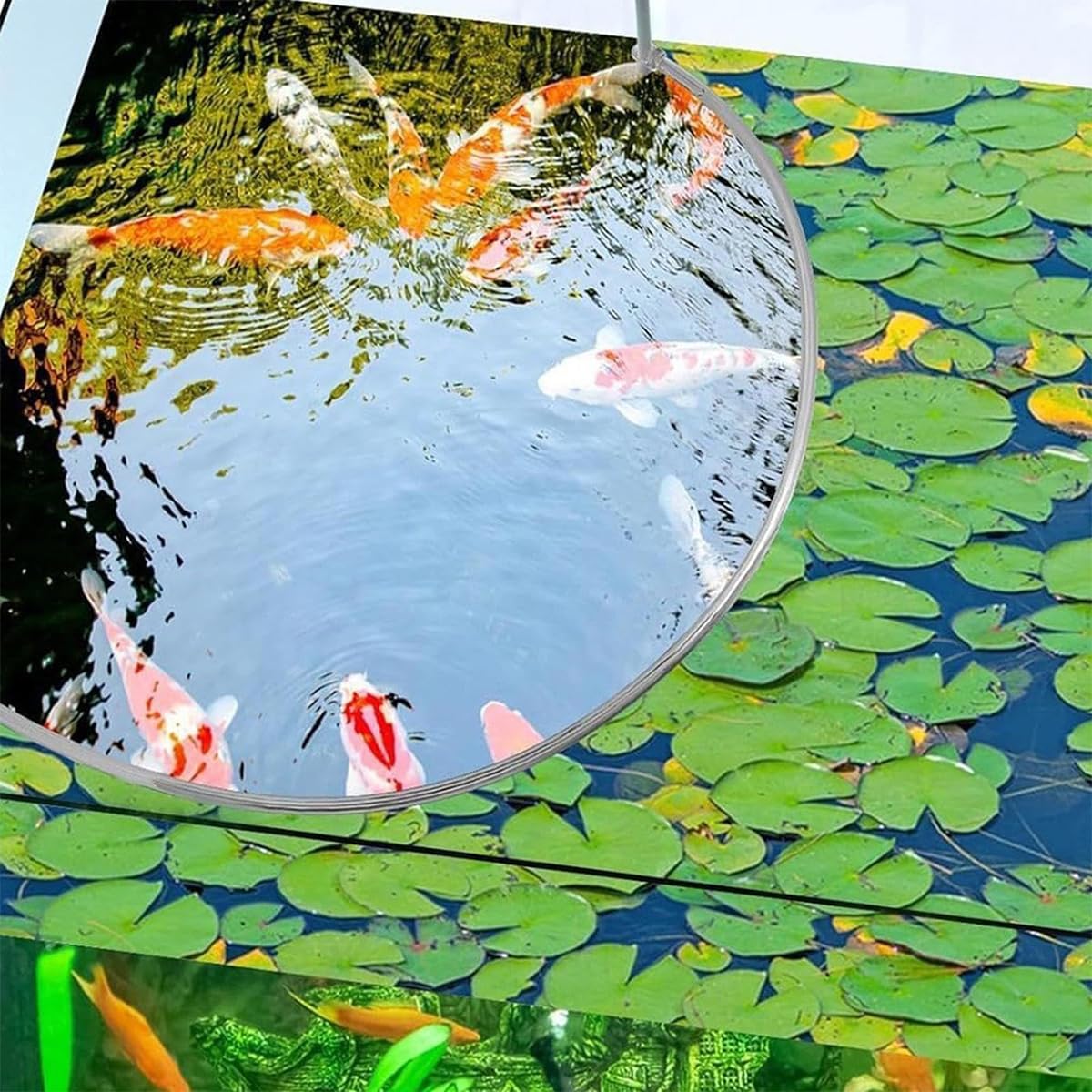 POFET Mangeoire à Poissons, Filtre d'aquarium Aquarium Plante Flottante Corral Anneau de Plante Flottant Protège l'anneau d'alimentation des Plantes Flottantes, décorations d'aquarium