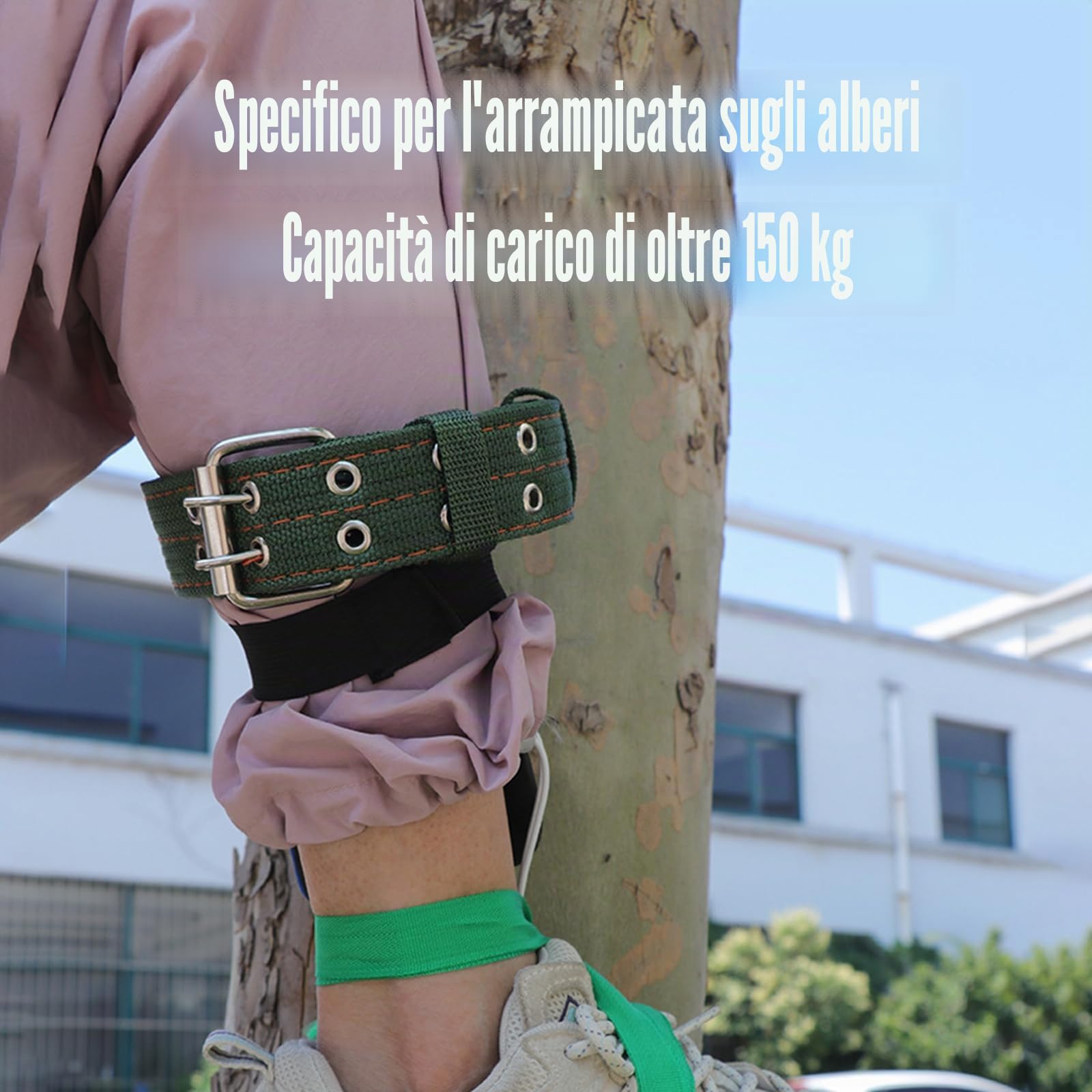 Attrezzatura professionale per l'arrampicata dell'albero, set di chiodi e artigli doppi in acciaio temprato ad induzione, punte a 5 bordi con canali di sangue, regolabile in altezza, con cintura di
