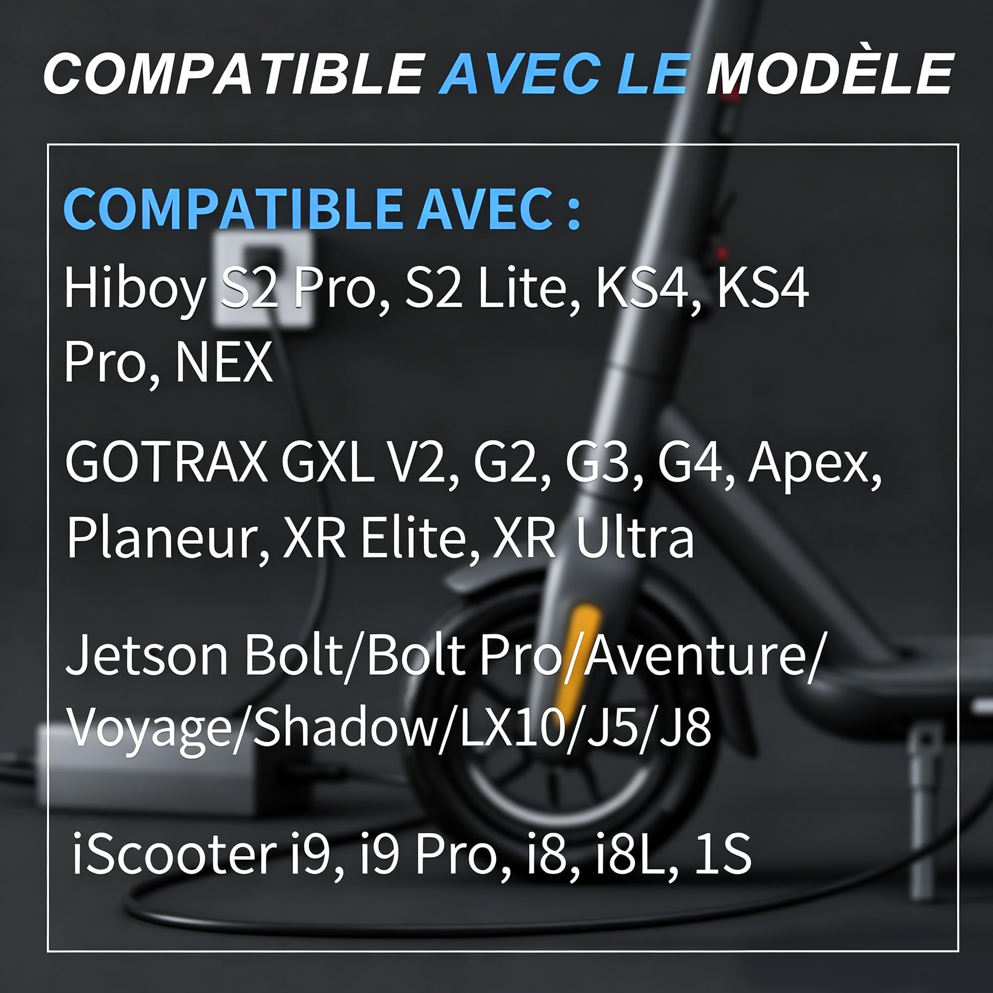 Chargeur 42V 2A pour Batterie Lithium 36V de vélo électrique | Affichage tension temps réel, ventilateur, protections multiples, connecteurs DC 5,5*2,5/2,1mm et RCA 8mm