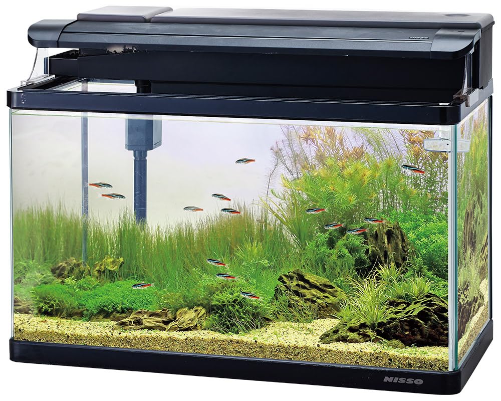 りょーた ニッソー スティングレー600 LED 60cm水槽セット Amazon | ニッソー 水槽 スティングレー600 LED熱帯魚セット