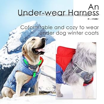 Amazon | ThinkPet 犬ハーネス, 引っ張り防止胴輪, 負担が少ない