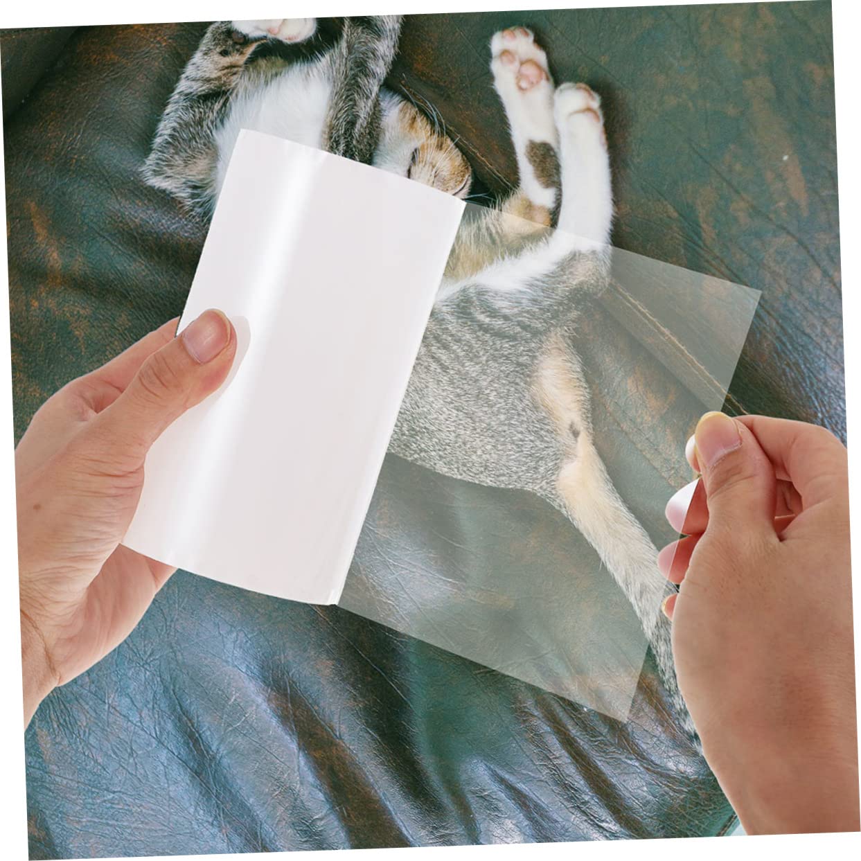 Katzenkratzschutz Folien für Sofa und Möbel 2 Rollen PVC Flexibel und Biegsam Abriebfest Selbstklebend gegen Kratzer im Haushalt