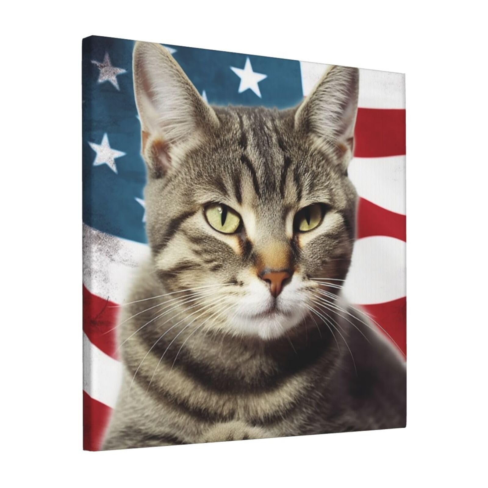 FodPand American Cat Usa Flag Canvas Wall Art for Living Room Wall Decor 12"x12" Modern Artwork Painting Pictures Hanging Canvas Prints Aesthetic Wall Art for Bedroom Bathroom Office Wallart Decor