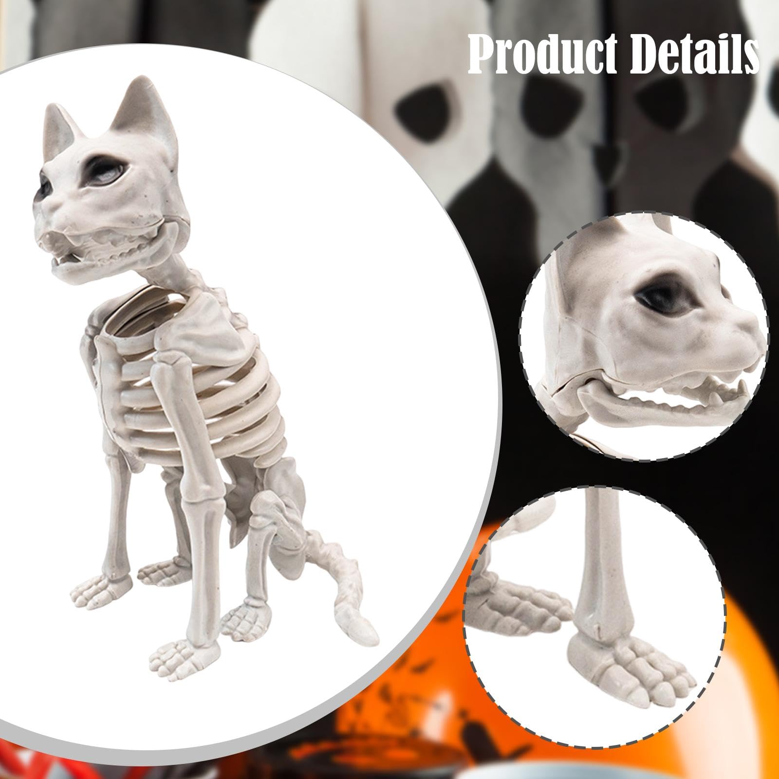 Amazon.co.jp: Milageto リアルな猫の骸骨 ハロウィン骸骨