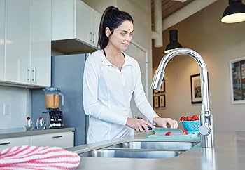 Moen Genta LX Chrome One-Handle Modern Kitchen Faucet with