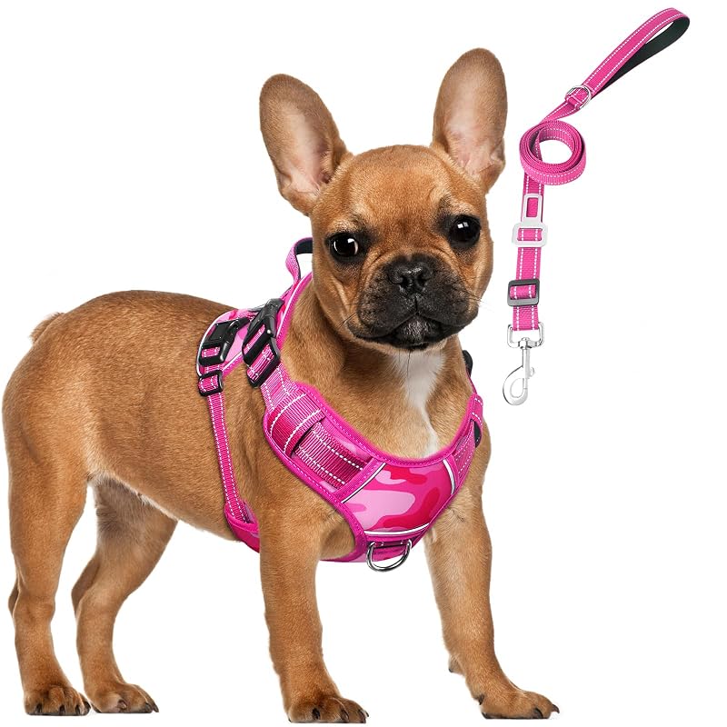 Peitoral vest tático para cães com guia e patches, Camo Pink, MOOGROU, tamanho Small