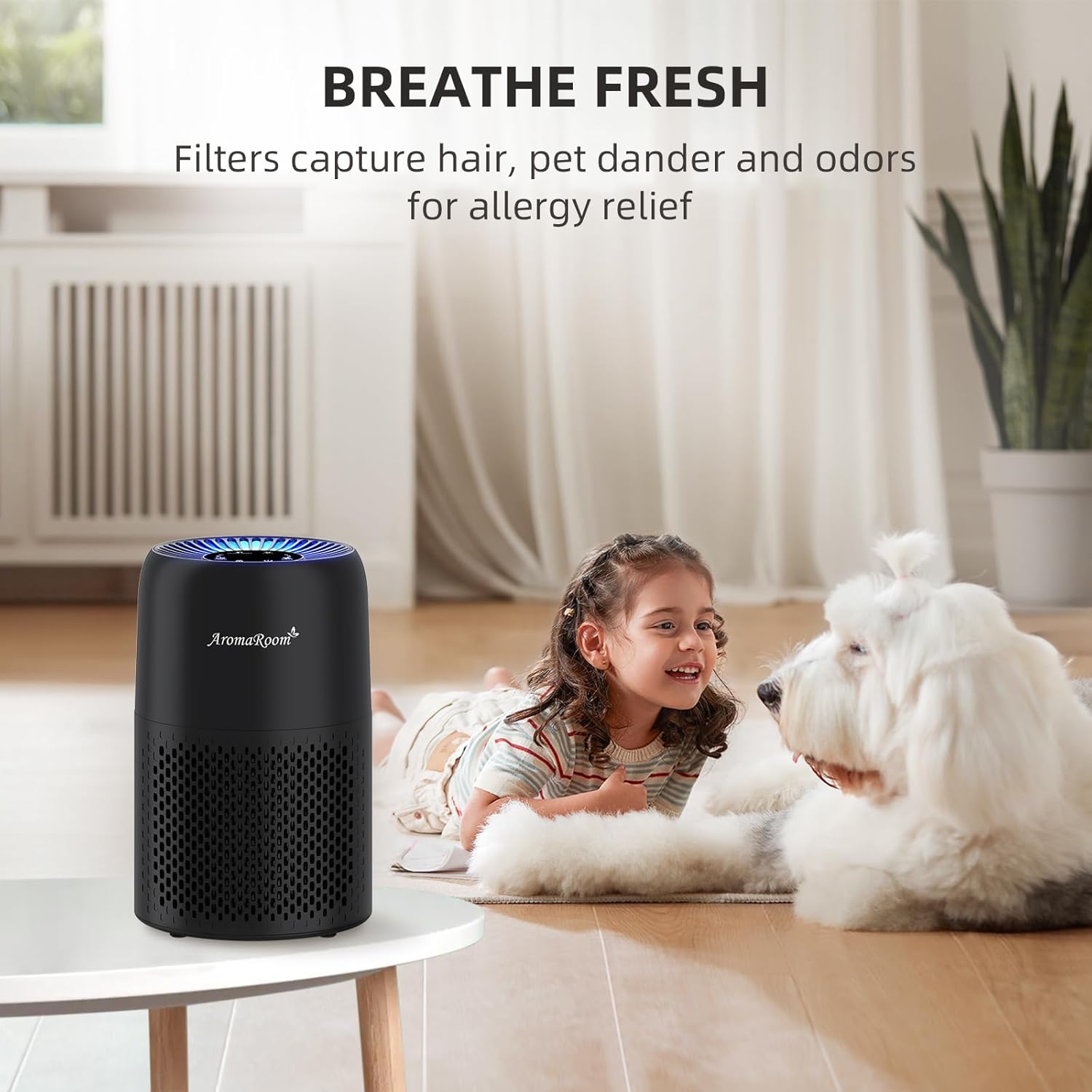https://m.media-amazon.com/images/I/71q90CBR2RL._AC_SL1500_.jpg