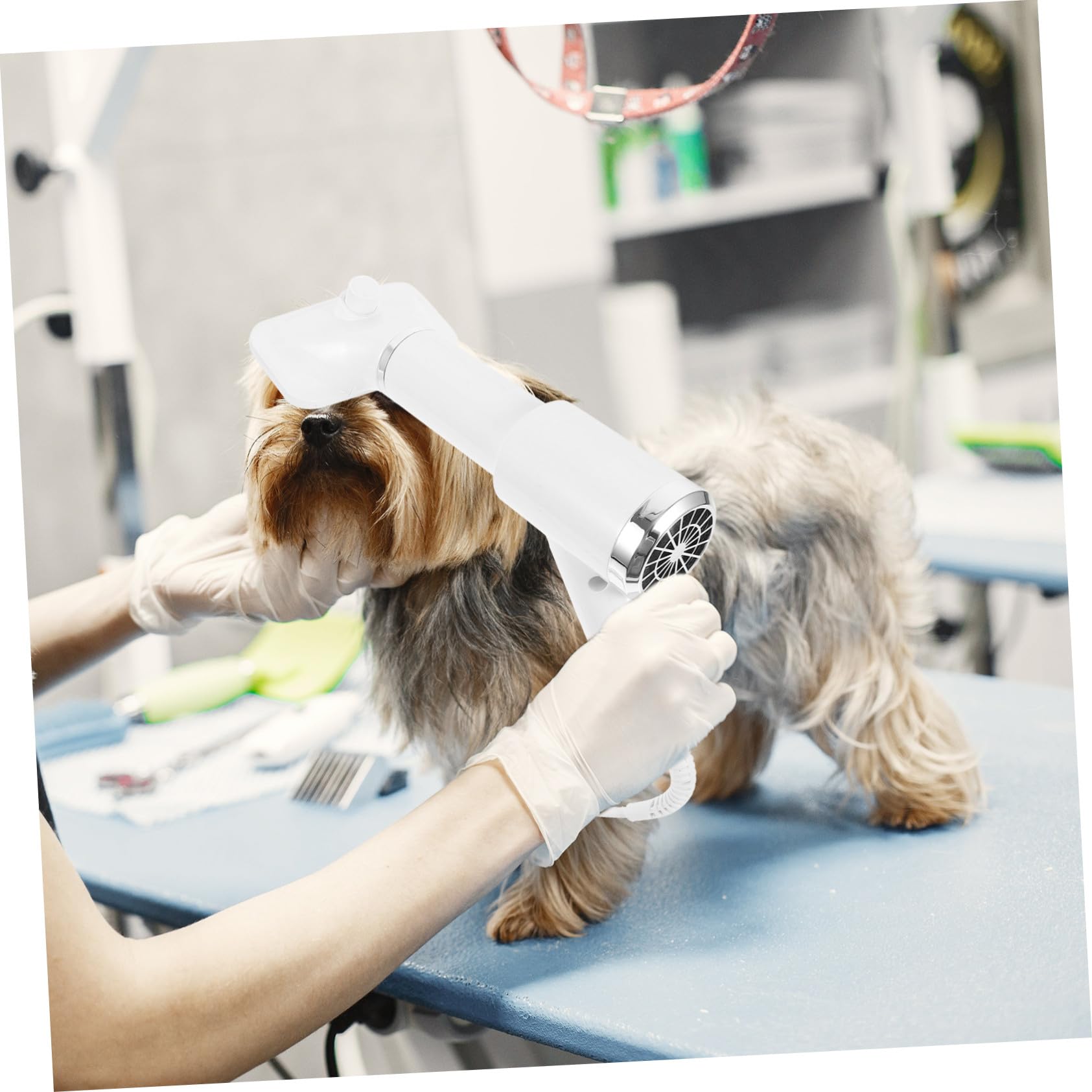 Peigne Sèche-cheveux pour Toilettage Chien et Chat, Blanc Portable | Plastique, Fonction Démêlante et Sûre, Format Compact pour Propriétaires D’animaux