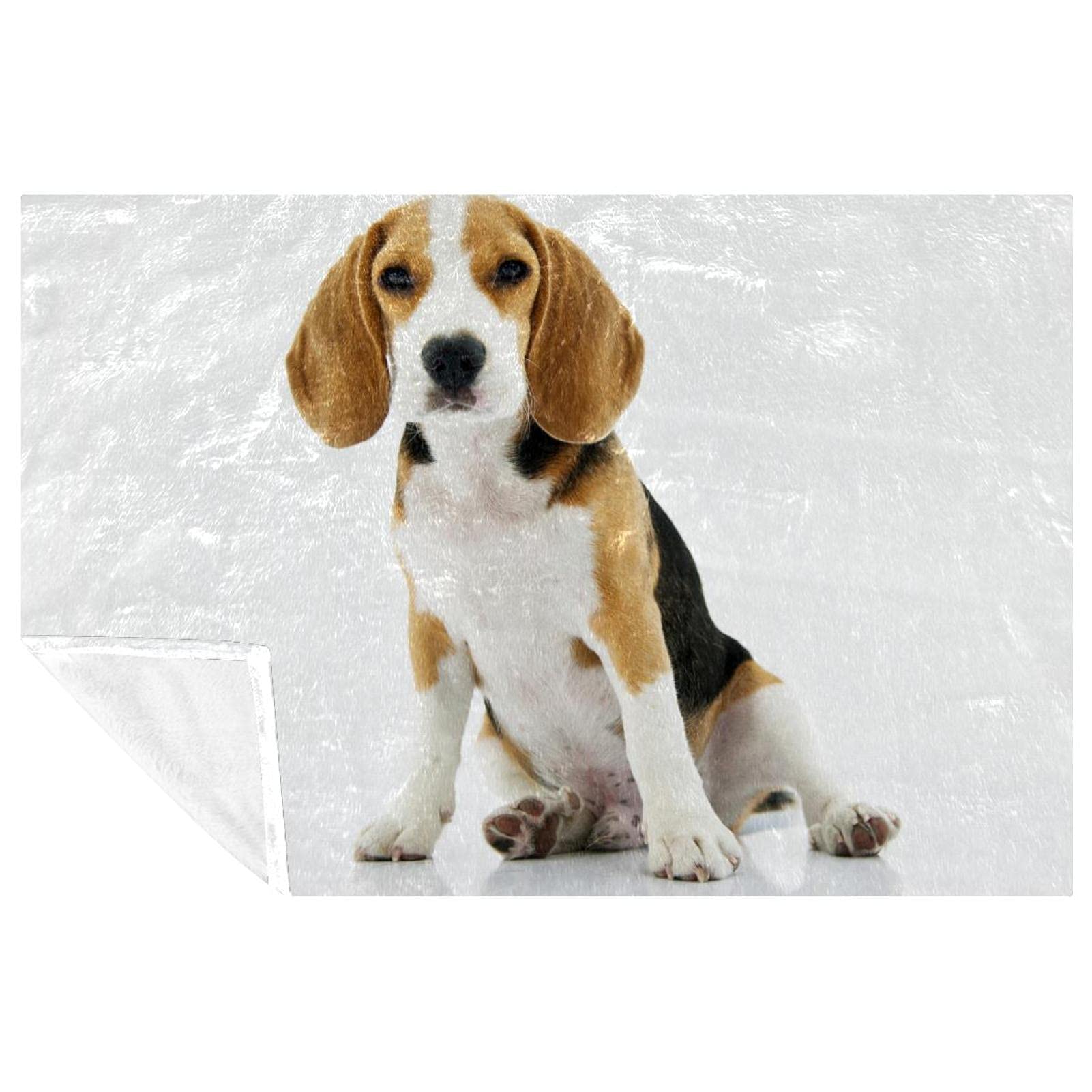 Couverture de lit douce imprimé chien assis 150x100 cm aux finitions soignées de qualité