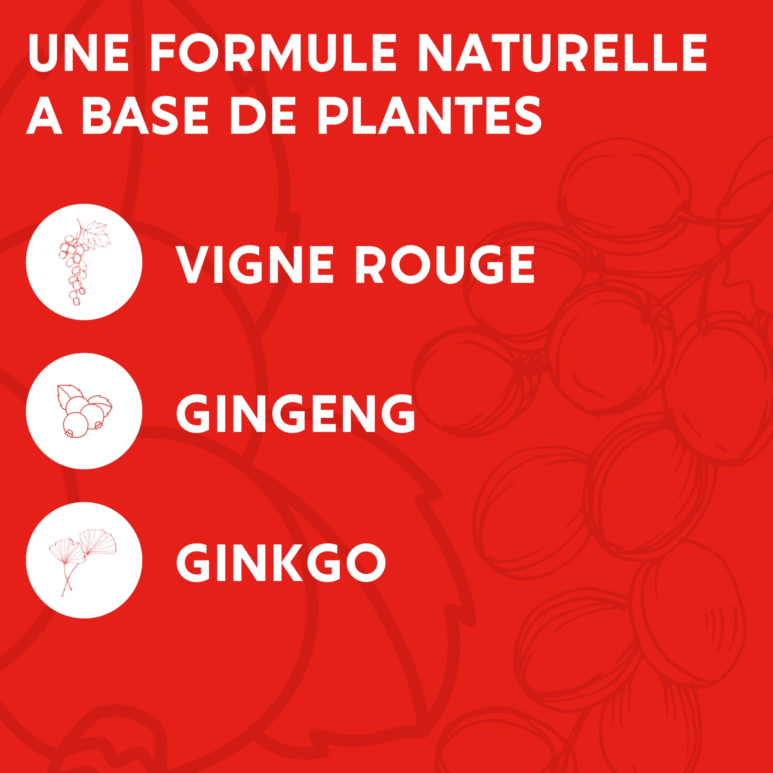 FORMULE CIRCULATION Sanguine, veineuse | Jambes lourdes, Rétention d'eau | Vigne Rouge (hautement dosé), Cassis, Gingko Biloba | 60 gélules | Complement alimentaire