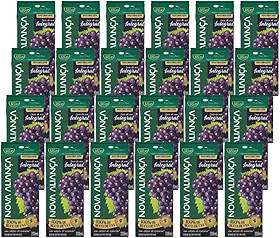 100% Suco Integral De Uva Tinto Sem Adição Açúcar - Fardo Com 24 Und 200ml Caixinha Canudinho Lanche Merenda Escolar - Aliança