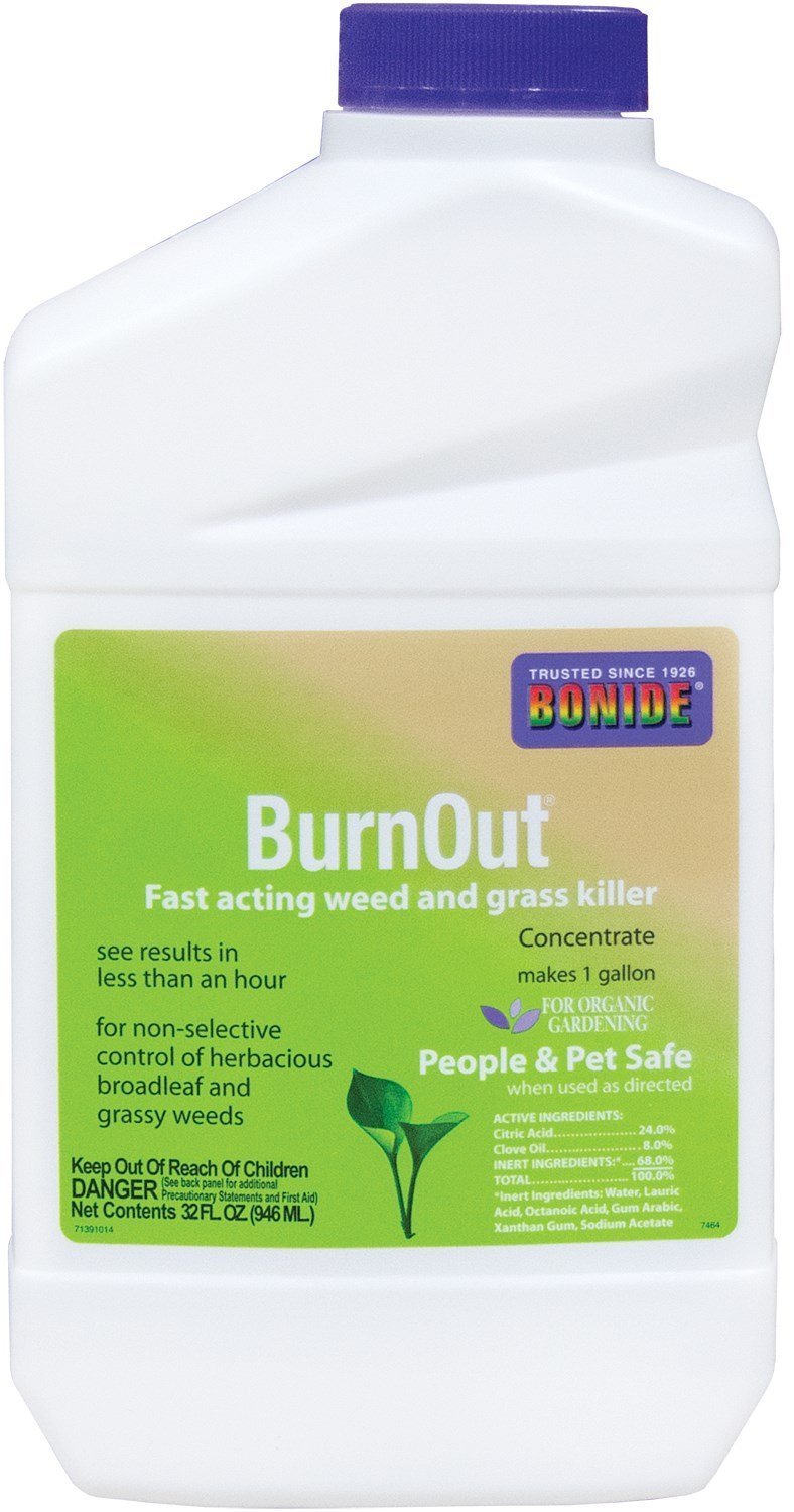 Burnout Weed And Grass Killer Concentrate Amazon.in Home & Kitchen