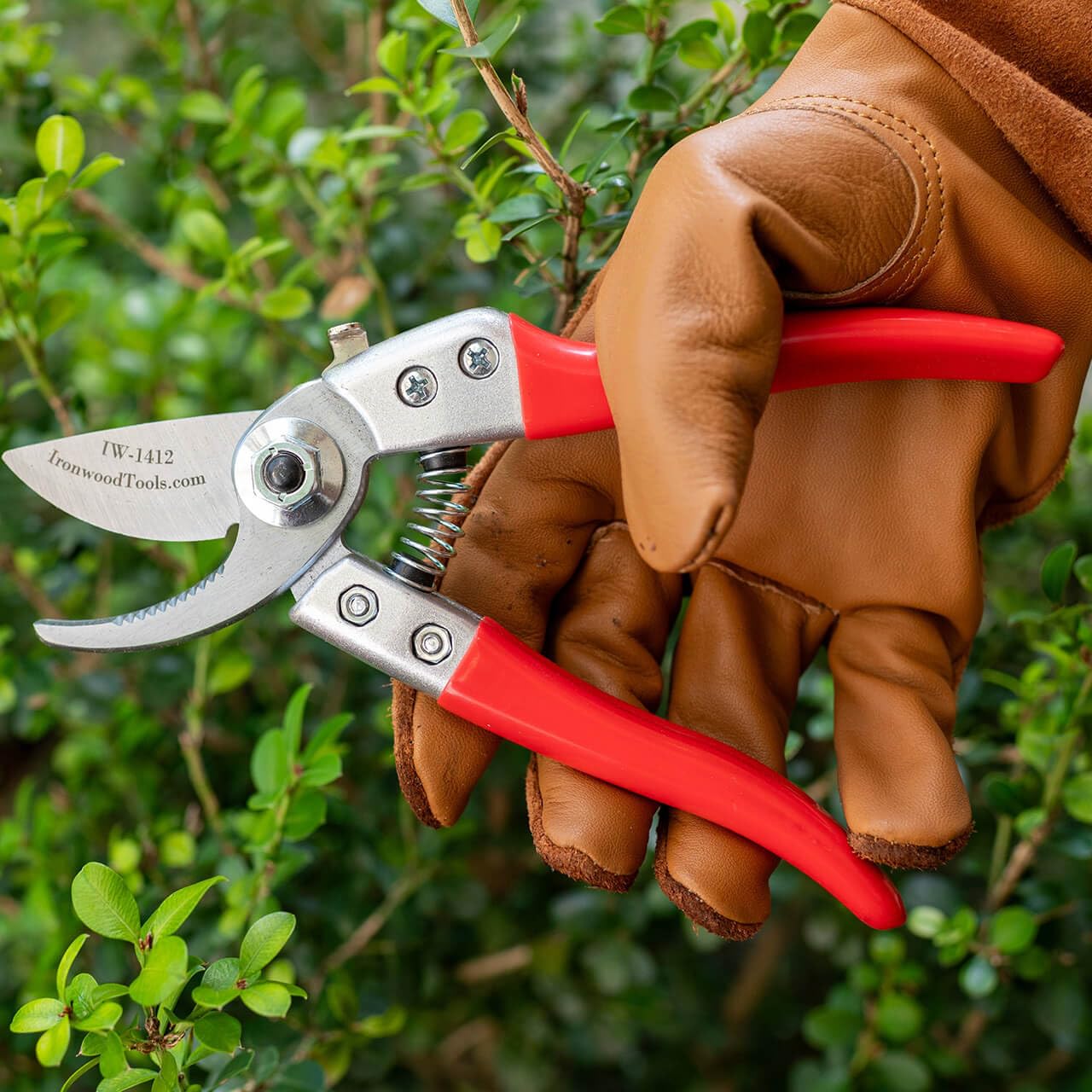 Ironwood Tool Company Liberación rápida, bloqueo que nunca falla, pequeño cortador de podadora de derivación de 8 pulgadas IW1412 con ranura de savia