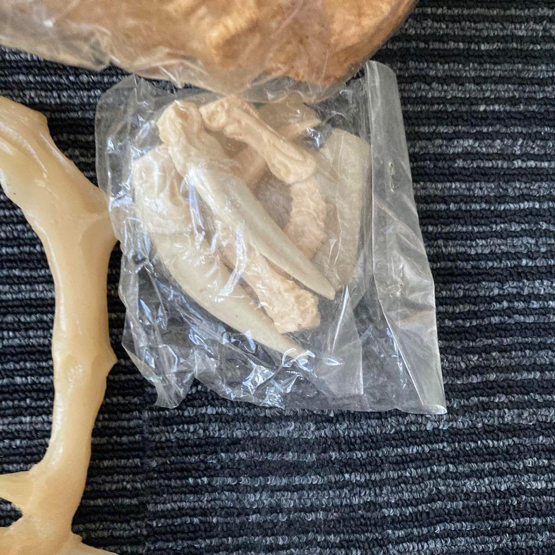 キット プレデターヘッド 骨格 ソフビ キャスト キット デカイです